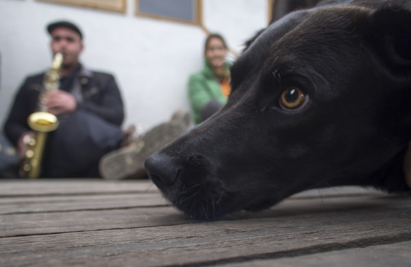 Estacional Manantiales (3)