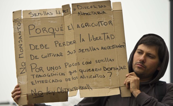 no ley obtentores vegetales 21