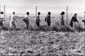 pacifisti-rete-aereoporto