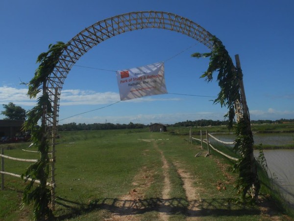 10577070_4347901672919_6918944196362396642_n