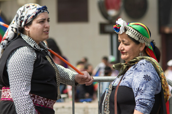 Marcha Mapuche_12_oct_2014_fotos de Ariel Nuñez (5)
