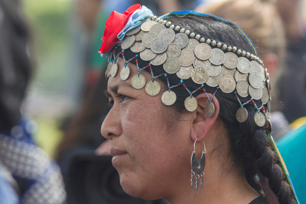 Marcha Mapuche_12_oct_2014_fotos de Ariel Nuñez (7)
