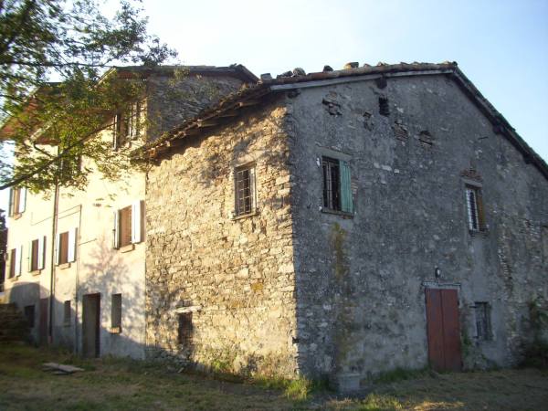 10448551_10204347080299277_5786324201630658406_o-2