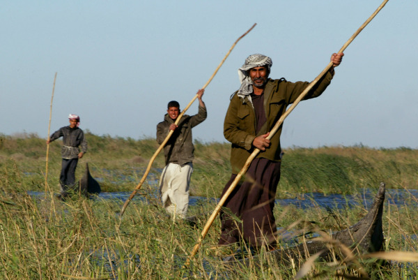 Marsh Arabs