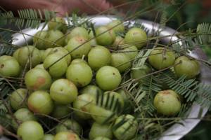 fruit picked on-site