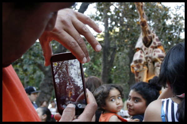 Santiago a Mil 2015-Marcela Contardo Berríos (1)