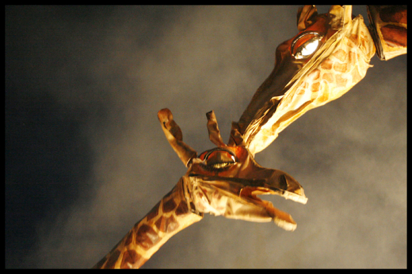 Santiago a Mil 2015-Marcela Contardo Berríos (6)