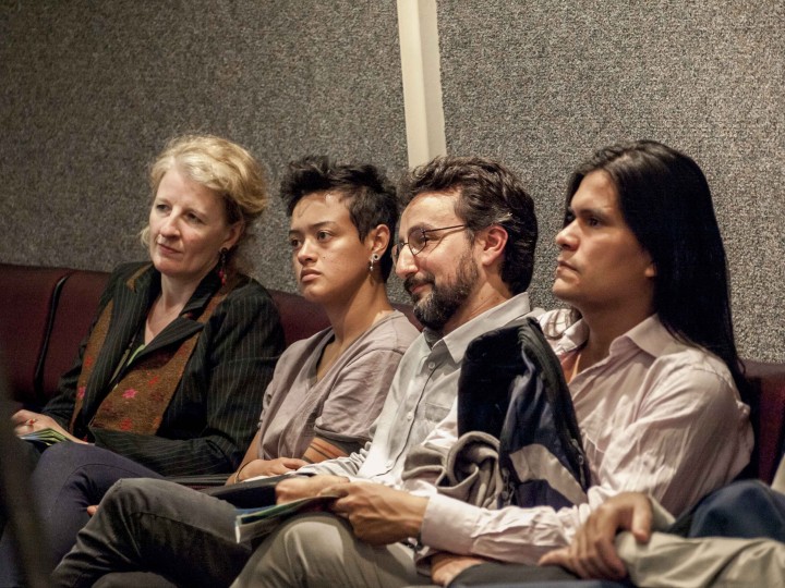 Panel Pressenza Senado 11