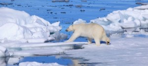 La bataille contre le pétrolier Shell,......