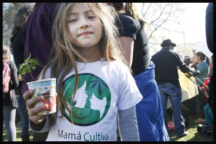Marcha Cannabis, Junio_2015_Marcela Contardo Berríos (15)