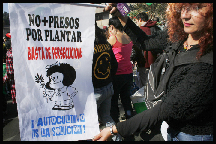 Marcha Cannabis, Junio_2015_Marcela Contardo Berríos (7)