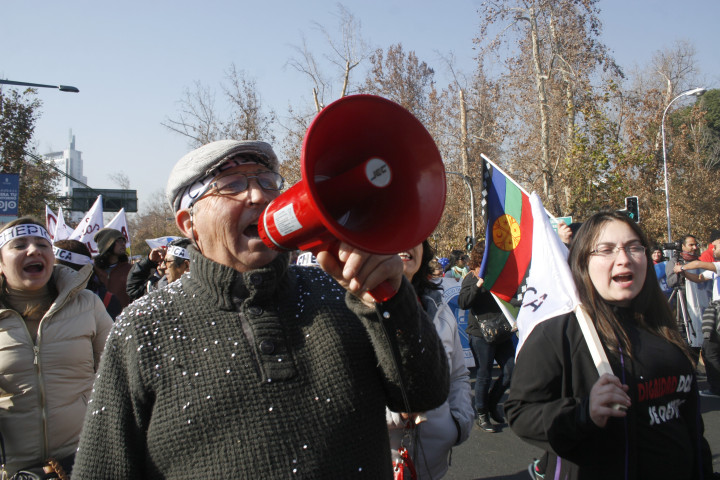 Marcha Profesores-17-junio-2015-Marcela Contardo Berrios (13)