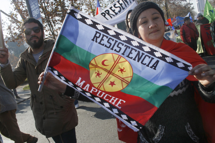 Marcha Profesores-17-junio-2015-Marcela Contardo Berrios (8)