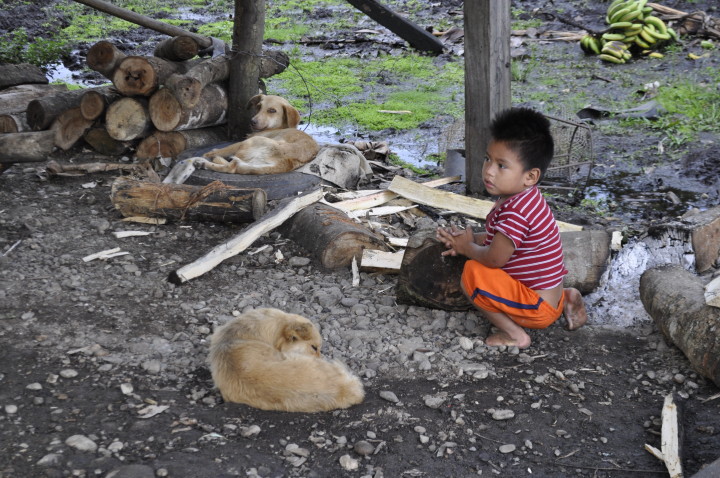 AZOMAZONIA - EDDY SALINAS (1)