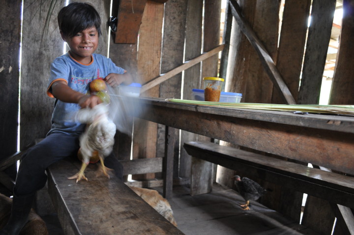 AZOMAZONIA - EDDY SALINAS (12)