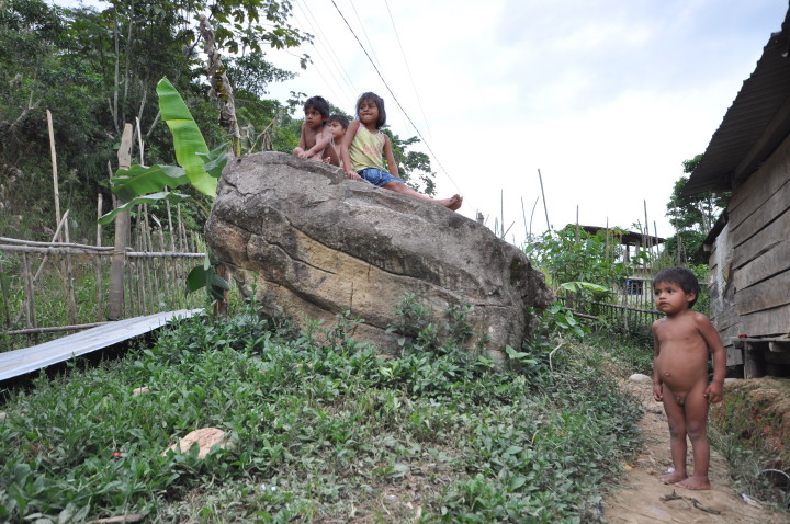 AZOMAZONIA - EDDY SALINAS (14)