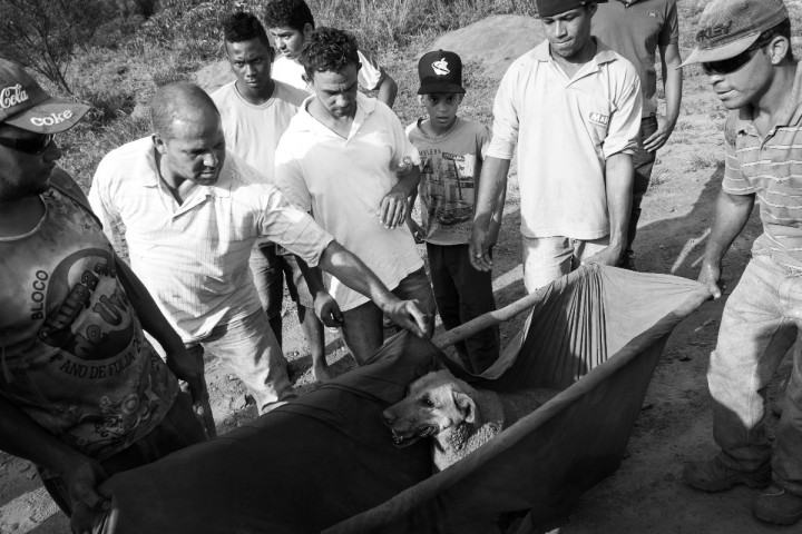 Foto de Gustavo Ferreira