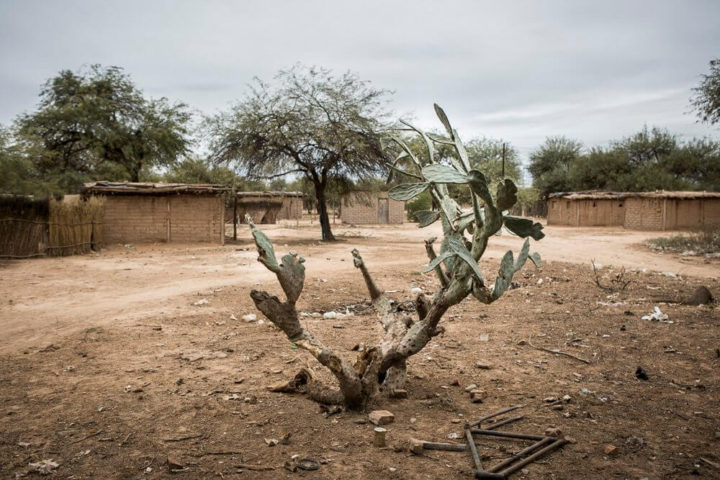 Foto Nacho Yuchark/lavaca 