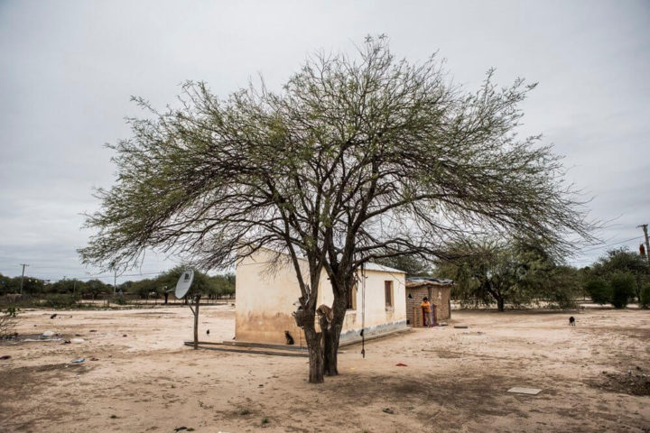 Nacho Yuchark lavaca 6