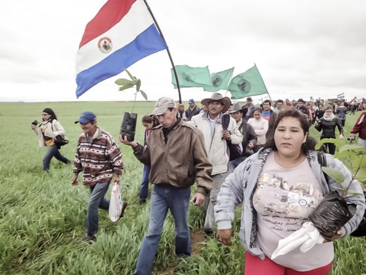 Organizaciones campesinas siguen denunciando que las tierras que hoy día están siendo explotadas por una agroexportadora empresarial son propiedad del estado. Foto: CigarraPy