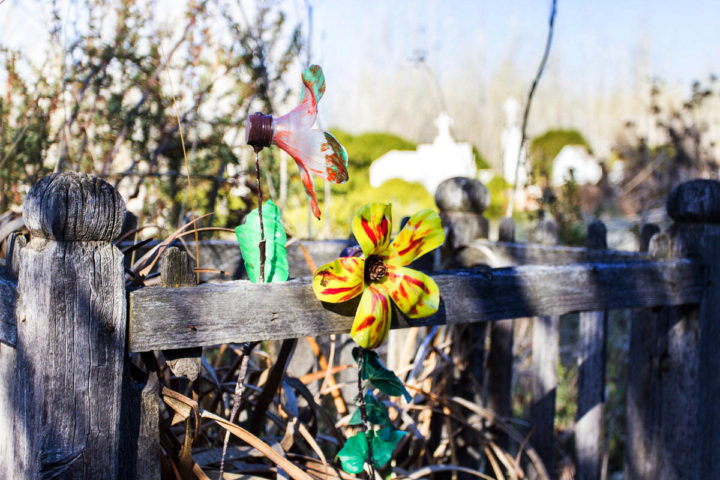 Cementerio Chile Chico-Sept 2016-Daniela Quinteros Rosas (11)