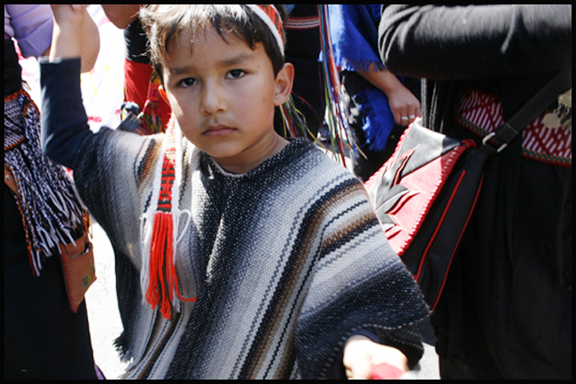 marcha-mapuche-stgo-chile-11-de-octubre-de-2016-marcela-contardo-berrios-7