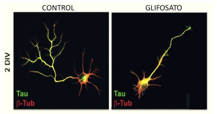 Imagen www.unr.edu.ar
