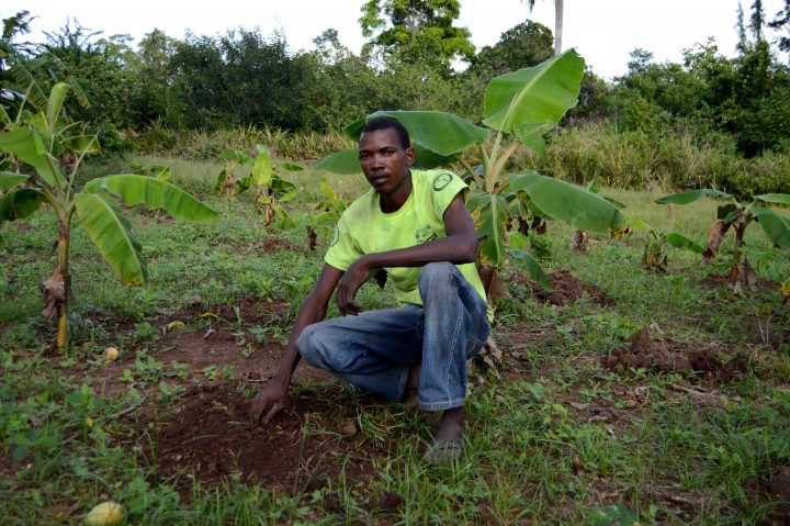 Foto Haiti ActionAid_2
