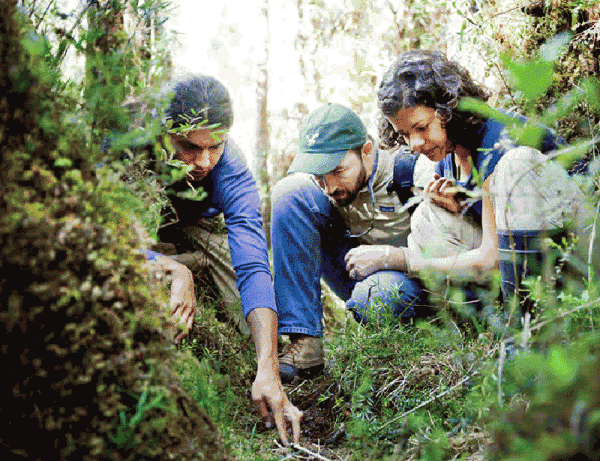 Campaña Reforestemos Patagonia