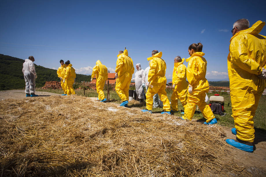 ‘Overuse of Antibiotics and Other Antimicrobials Threats Rural Livelihoods, Food Security’