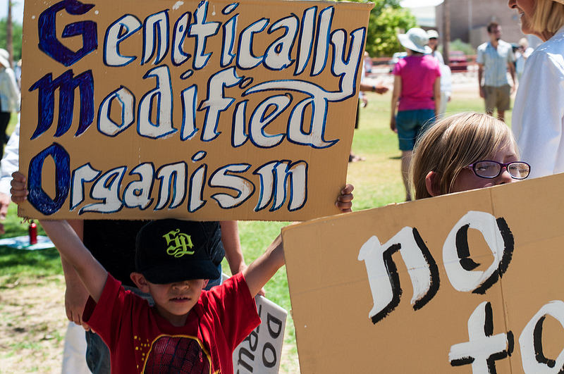 OGM: Commissione UE non ottiene sostegno per nuove colture, Italia ha ...