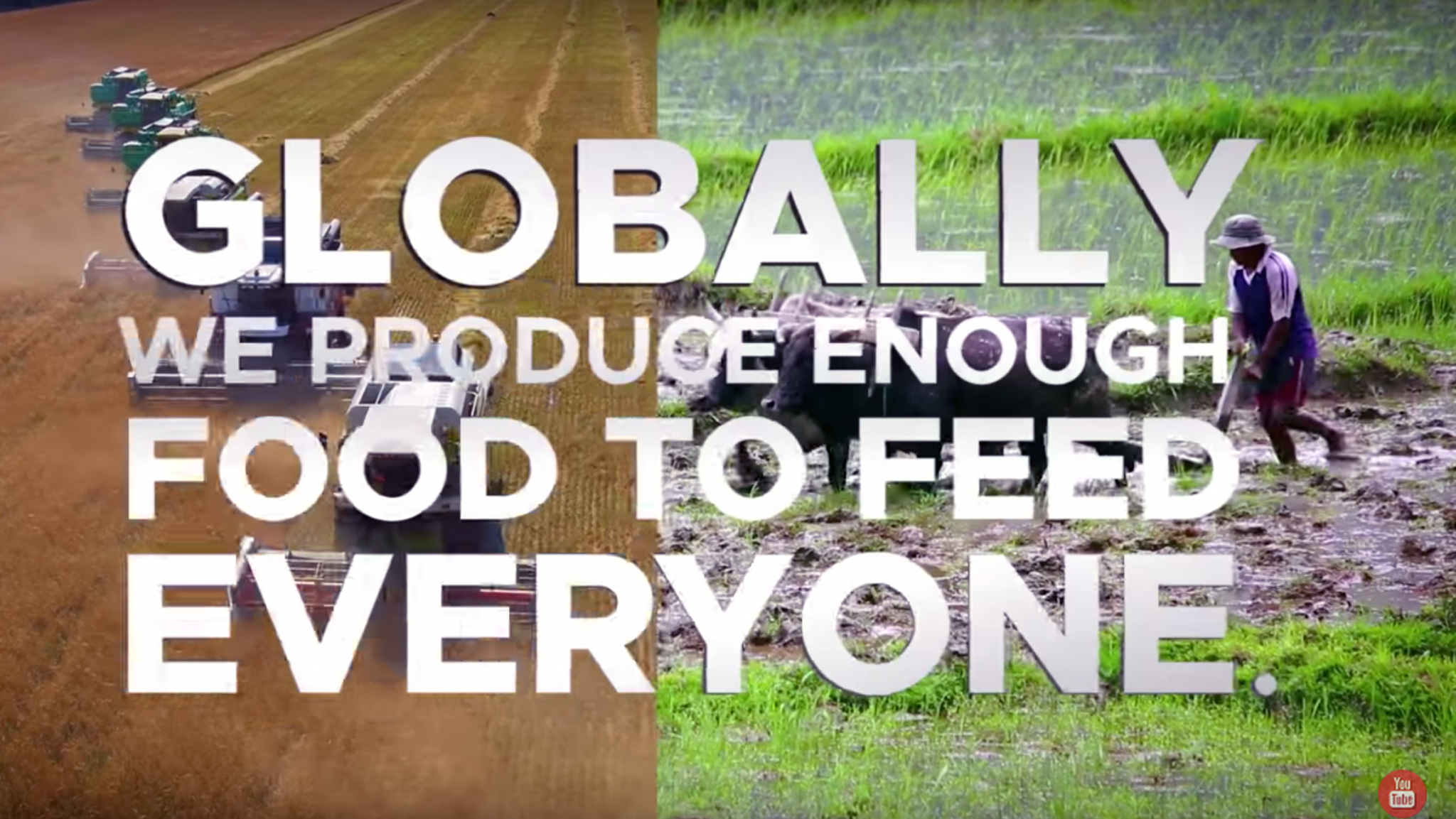 Any Way to Help Slow Down Climate Change… Individually?