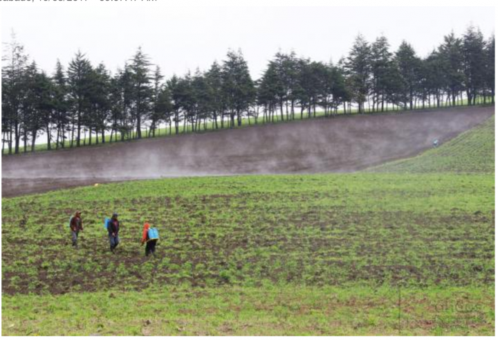 En la Gran Minga Agropecuaria se aspira que 760.000 hectáreas tengan seguro agrícola y ganadero. Foto: Micaela Ayala/Andes