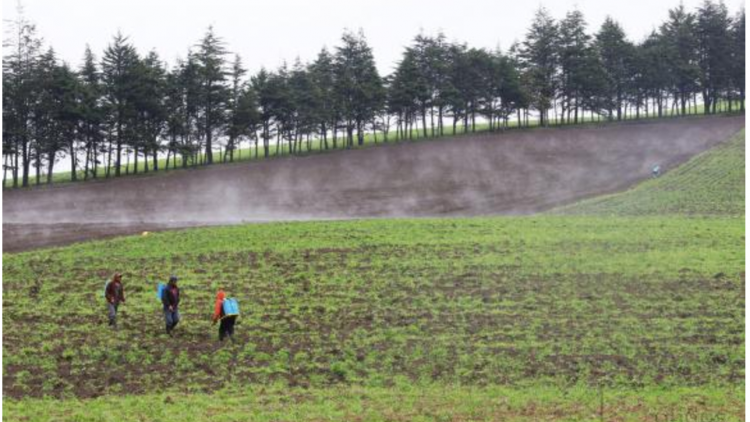 En la Gran Minga Agropecuaria se aspira que 760.000 hectáreas tengan seguro agrícola y ganadero. Foto: Micaela Ayala/Andes
