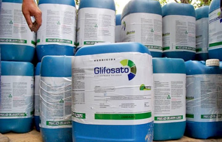 Monsanto vai a julgamento nos EUA por agrotóxico cancerígeno