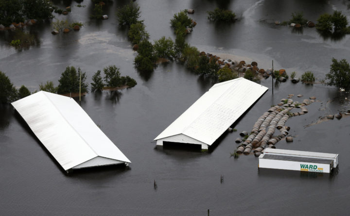 Tropical Storm Florence inundates toxic manure ponds, coal ash dumps in the Carolinas