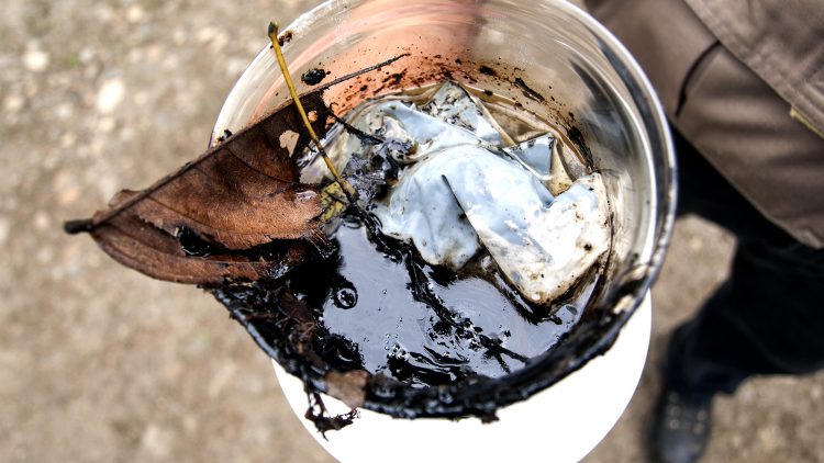 Muestra de lo que se recoge en las zonas de Aguarico, en la Amazonía ecuatoriana, donde hay contaminación de petróleo.