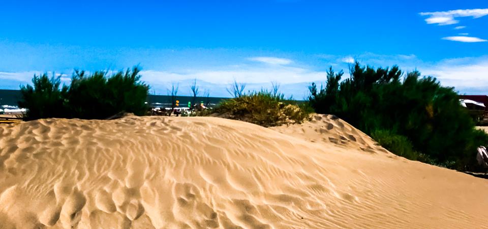 The Political Responsibility in the Collapse of Our Planet