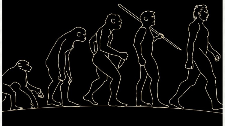 Homo luzonensis: Neue Menschenart entdeckt