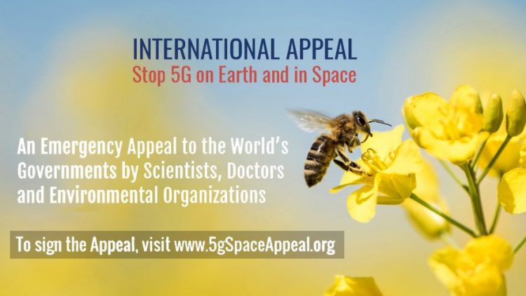 Wissenschaftler und Ärzte weltweit besorgt um Auswirkungen von 5G auf Mensch und Umwelt: Stopp von 5G auf der Erde und im Weltraum