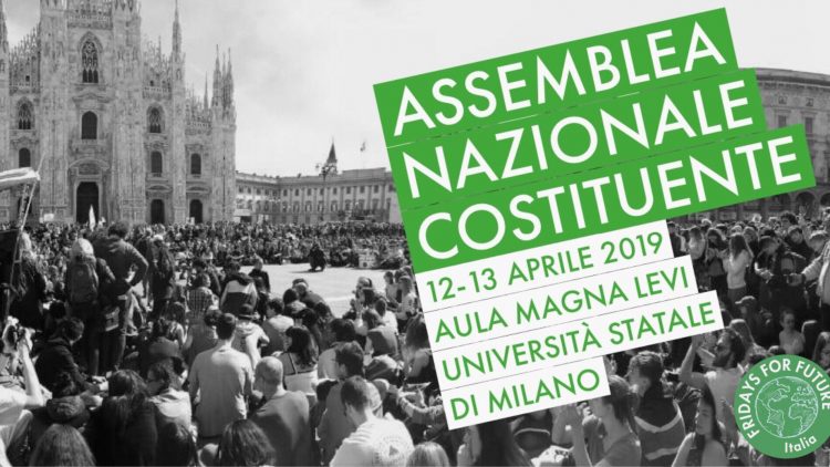 Assemblea Nazionale Costituente - Fridays for Future Italia