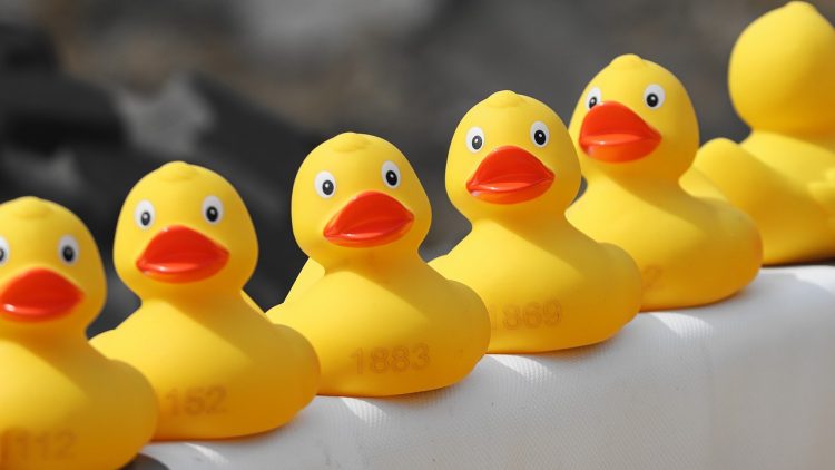 rubber ducks