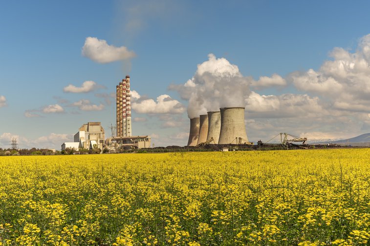 Economic growth: a short history of a controversial idea