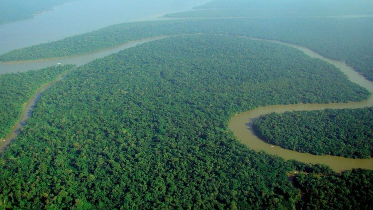 Il sinodo sull’Amazzonia