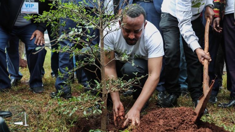 L’Ethiopie plante 350 millions d’arbres en douze heures