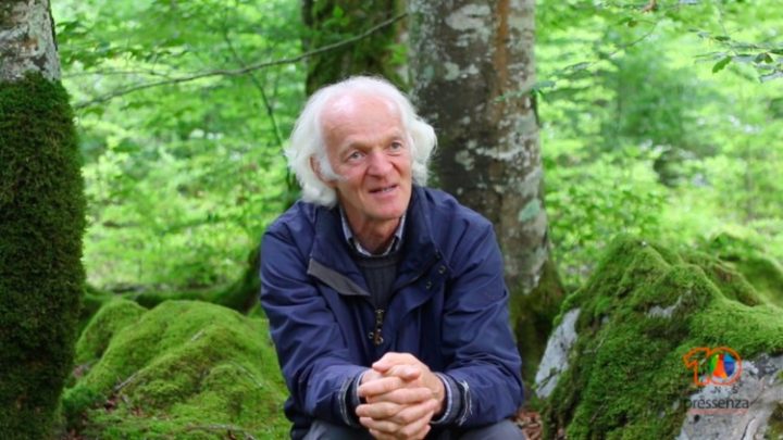 Ernst Zürcher : Longévité des arbres et système résilient