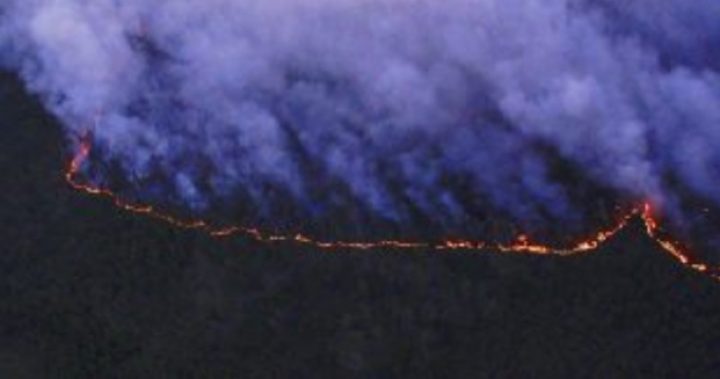 Incendi in Siberia