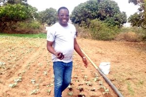 Senegal: Agriculture biologique au service de la societé