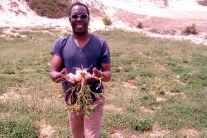 Senegal: Agriculture biologique au service de la societé