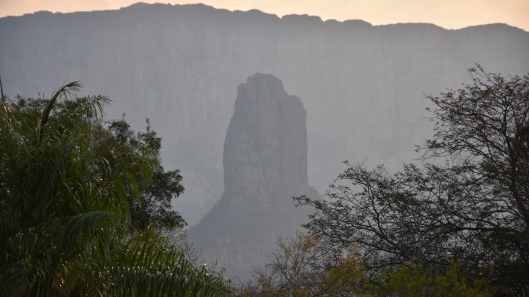 La Bolivie promeut une rencontre des pays touchés par les incendies en Amazonie